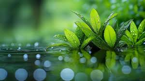 DYPIEMR Annual event photo